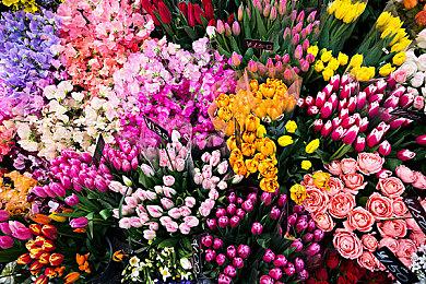 《流放之路》新大型资料片3.17跳票到2022年2月